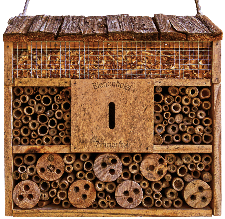 Front eines Bienenhauses