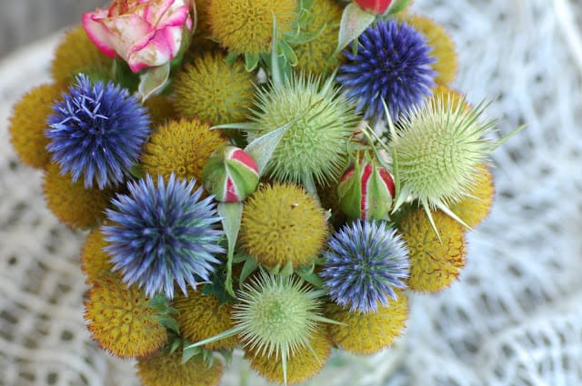 Strauß aus blauen Kugeldisteln, stacheligen Samenständen und Rosenknospen