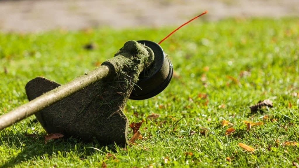 Rasentrimmer auf Grasfläche