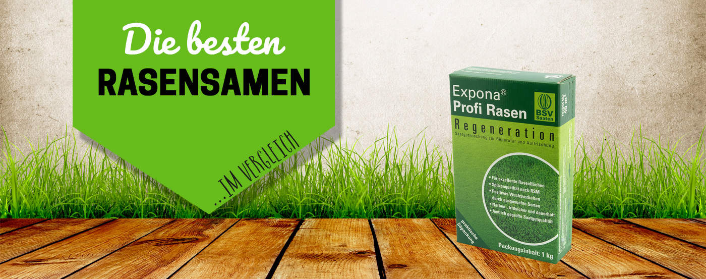 Die besten 5 Rasensamen Sorten im Test & Vergleich 2026