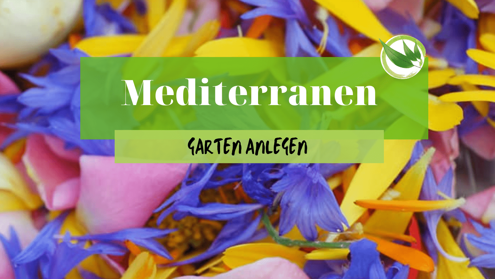 Mediterranen Garten anlegen