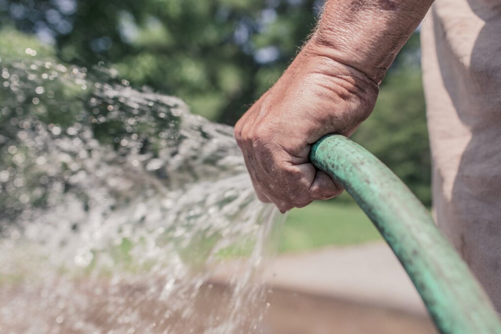 garden hose, hose, watering