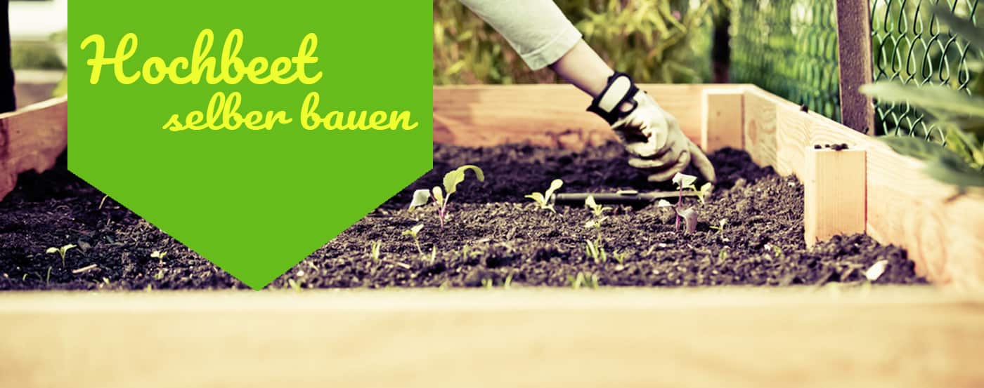 Hochbeet günstig selber bauen – Mit Bauanleitung