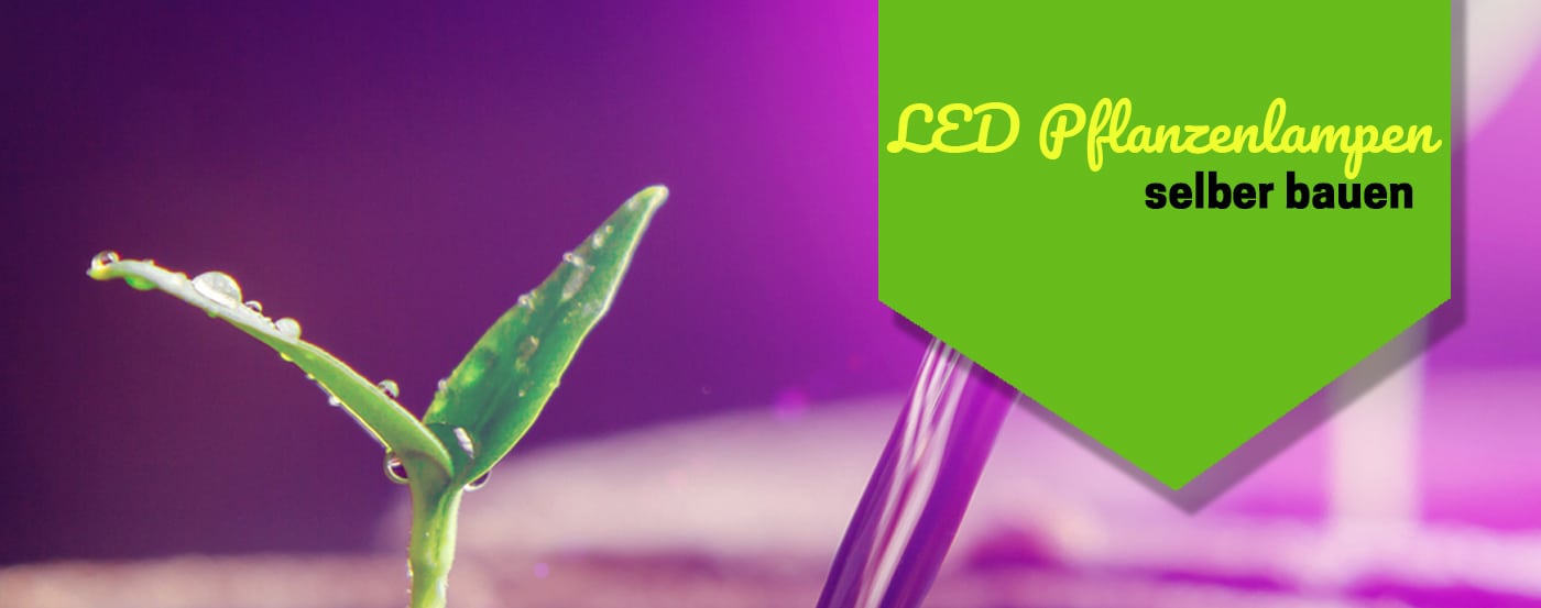 LED Pflanzenlampen selber bauen: Mit Do It Yourself zur perfekten Ausleuchtung