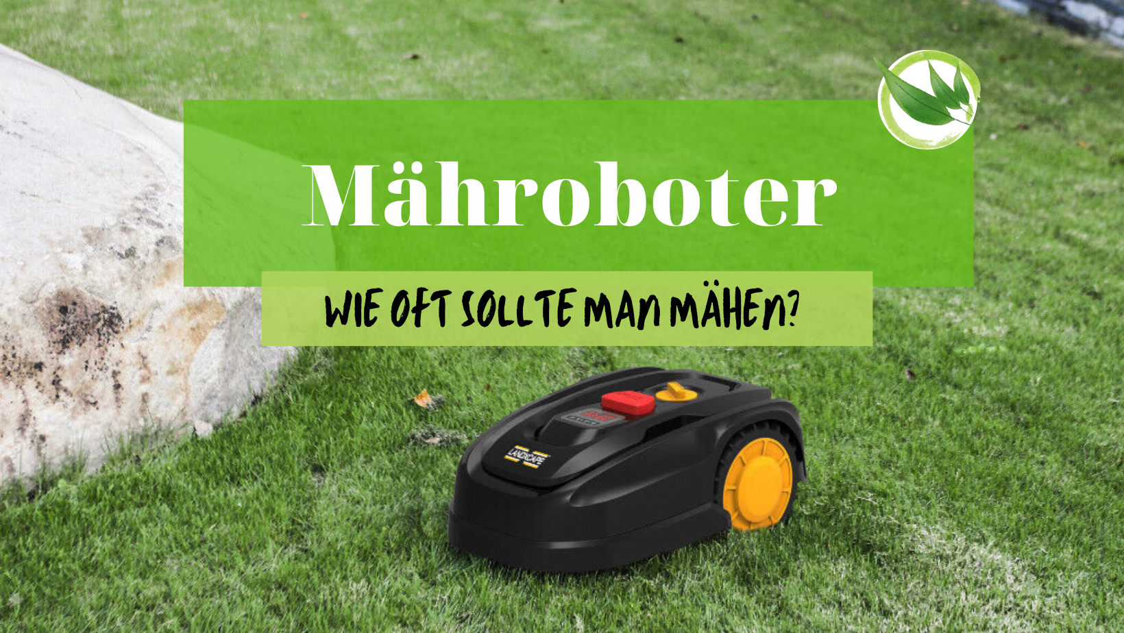Mähroboter – Wie oft sollte man mähen?