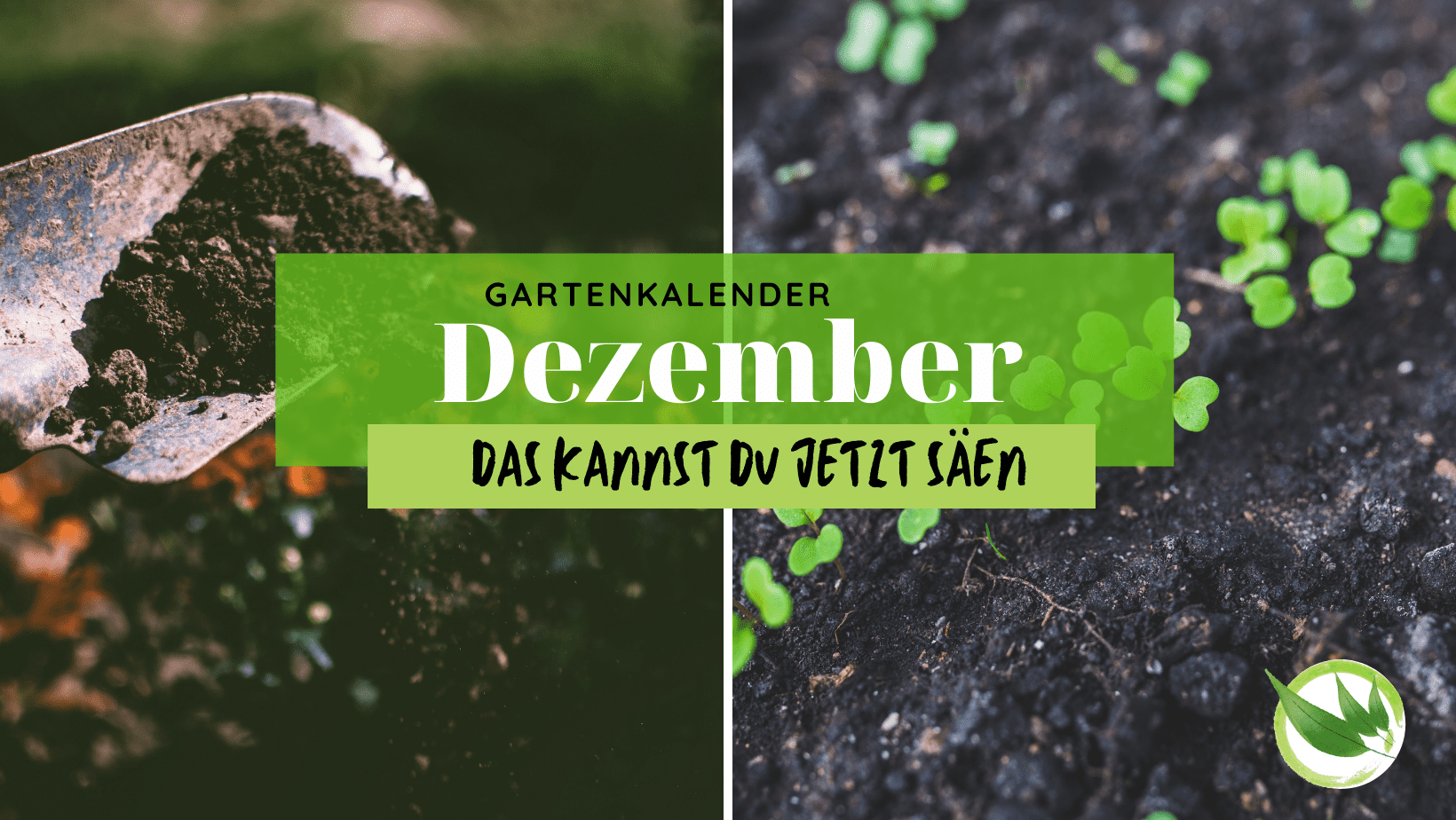 Garten im Dezember: Das kannst Du im Garten jetzt tun (und sogar säen!)