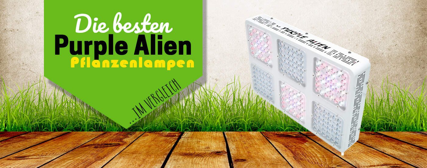 Purple Alien LED 3.0 Test 2026 – Unsere Erfahrung High Tech (nicht nur) für Profis