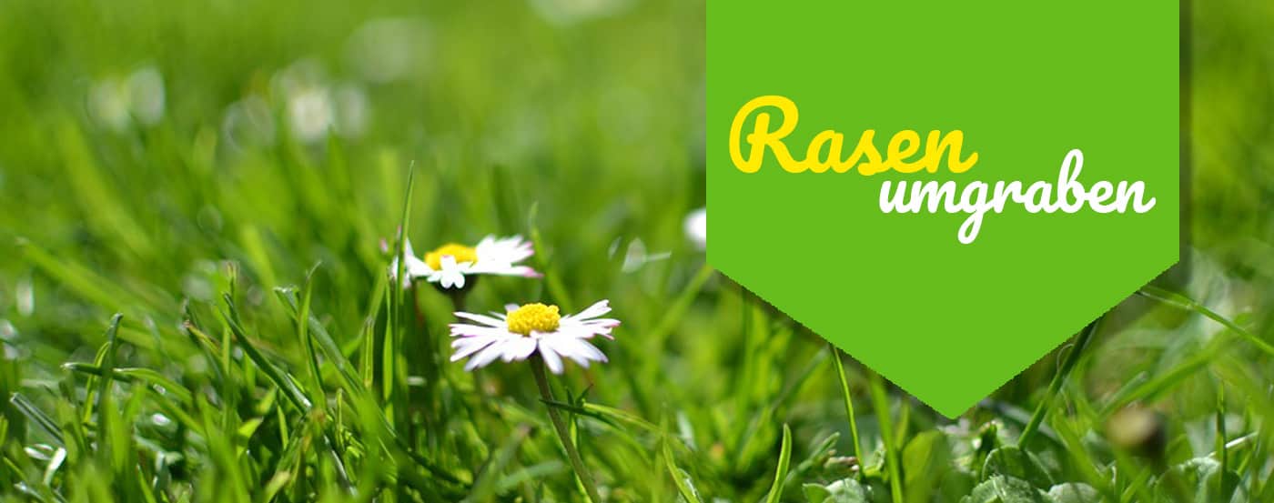 Rasen umgraben – so packst Du es an