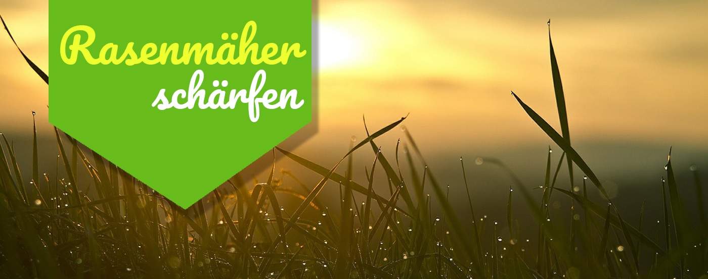 Rasenmähermesser selber schärfen – Schritt für Schritt