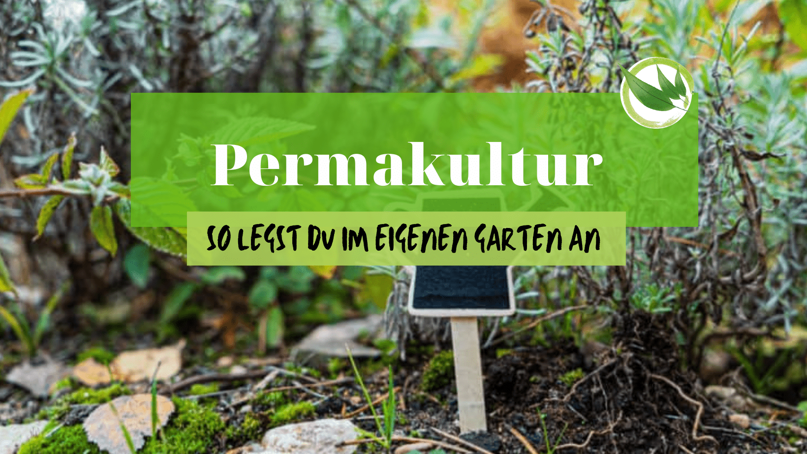 So legst Du Permakultur im eigenen Garten an