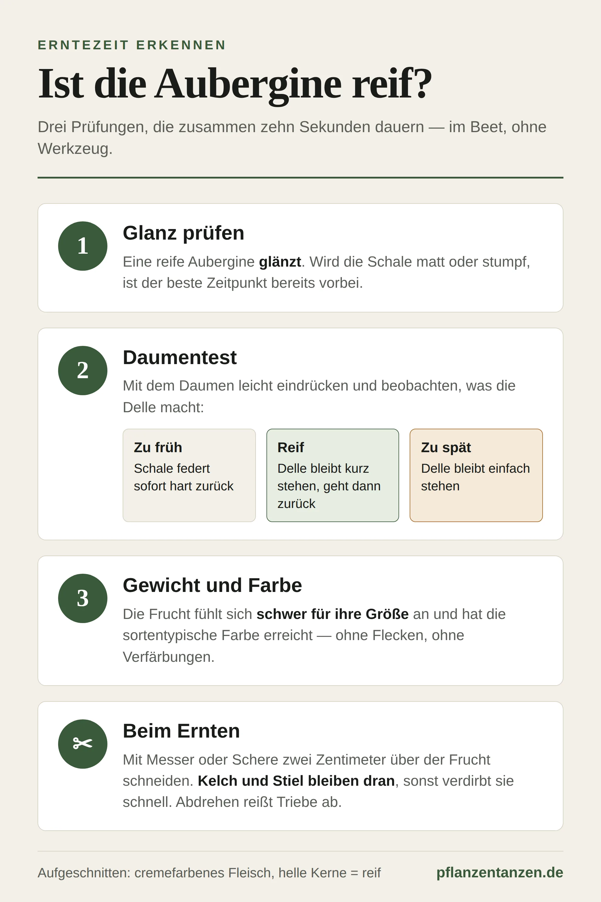 Infografik: Ist die Aubergine reif? Glanz prüfen, Daumentest, Gewicht und Farbe, richtig ernten