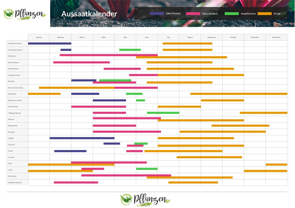 Aussaatkalender für Gemüse und Kräuter.