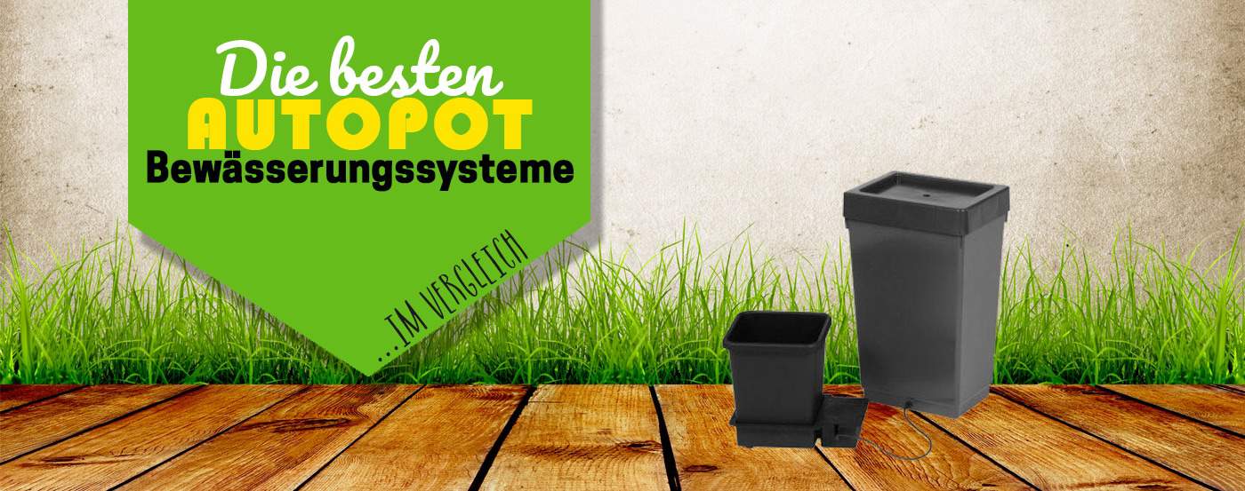Autopot automatische Bewässerung im Test 2026