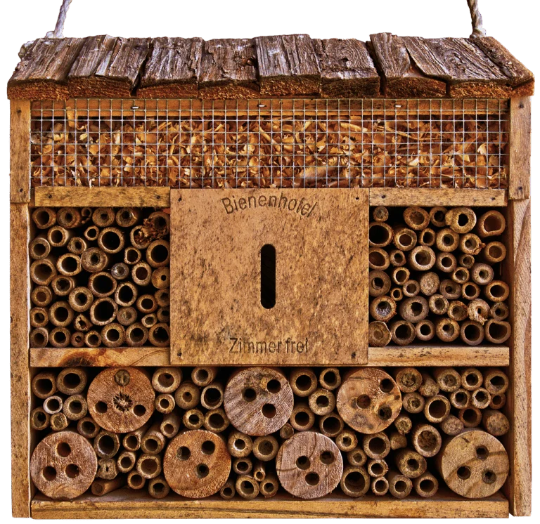 Front eines Bienenhauses