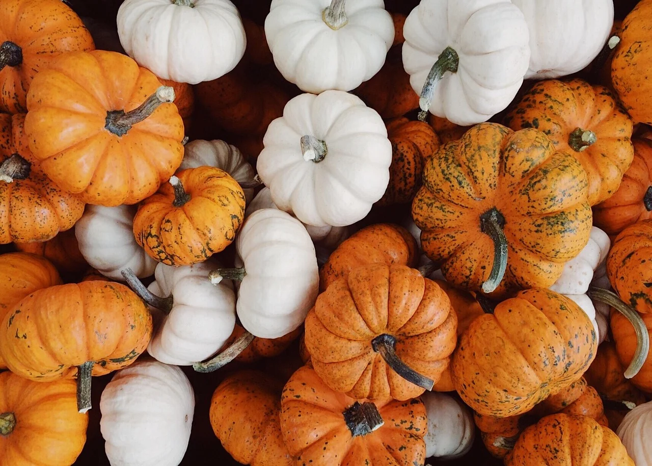 vegetable, pumpkin, organic