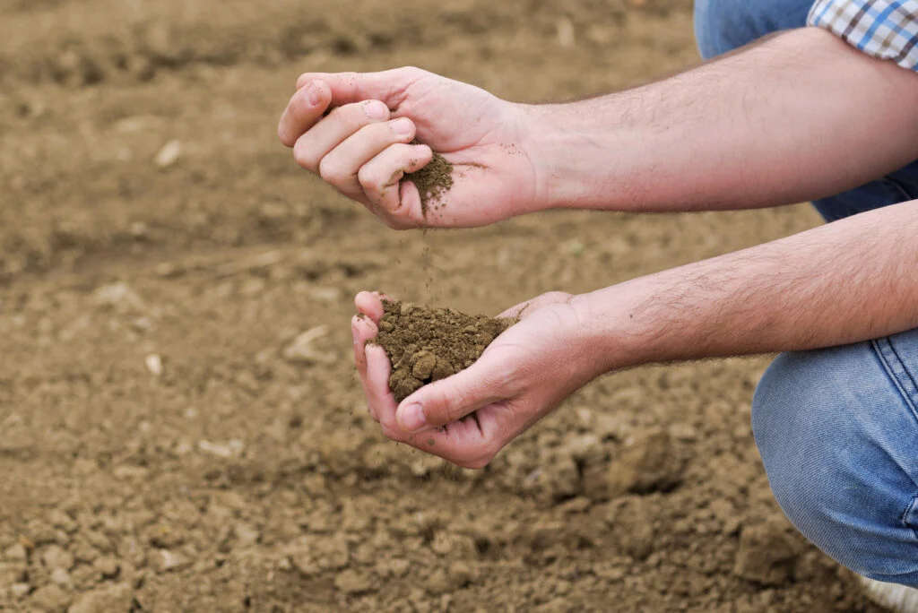 Farmer Checking Soil Quality of Fertile Agricultural Farm Land