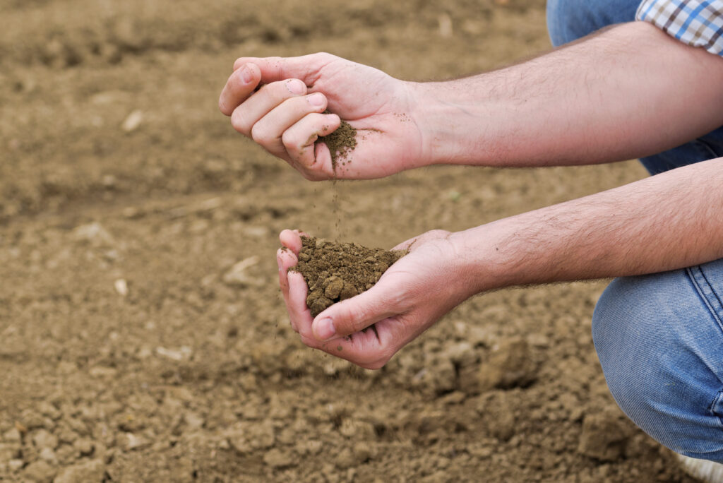 Farmer Checking Soil Quality of Fertile Agricultural Farm Land