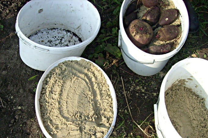 So lagerst Du Gemüse richtig in der Erdmiete ein