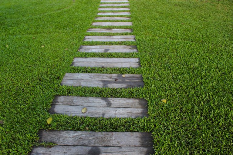 Weg im Rasen