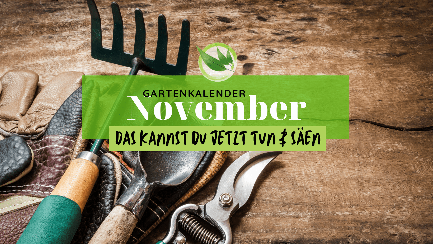 Titelbilder Gartenkalender November