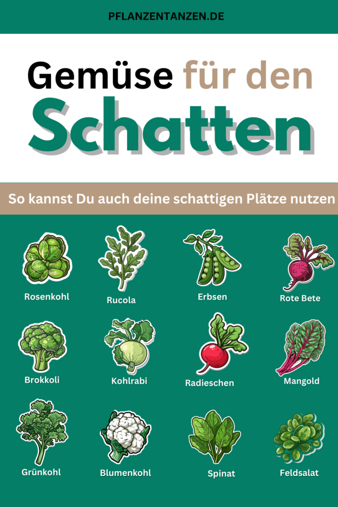 Liste von Schattengemüsearten