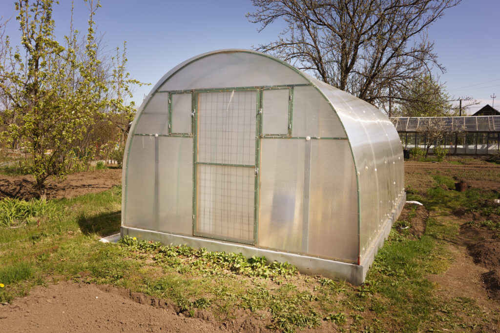 Greenhouse in garden