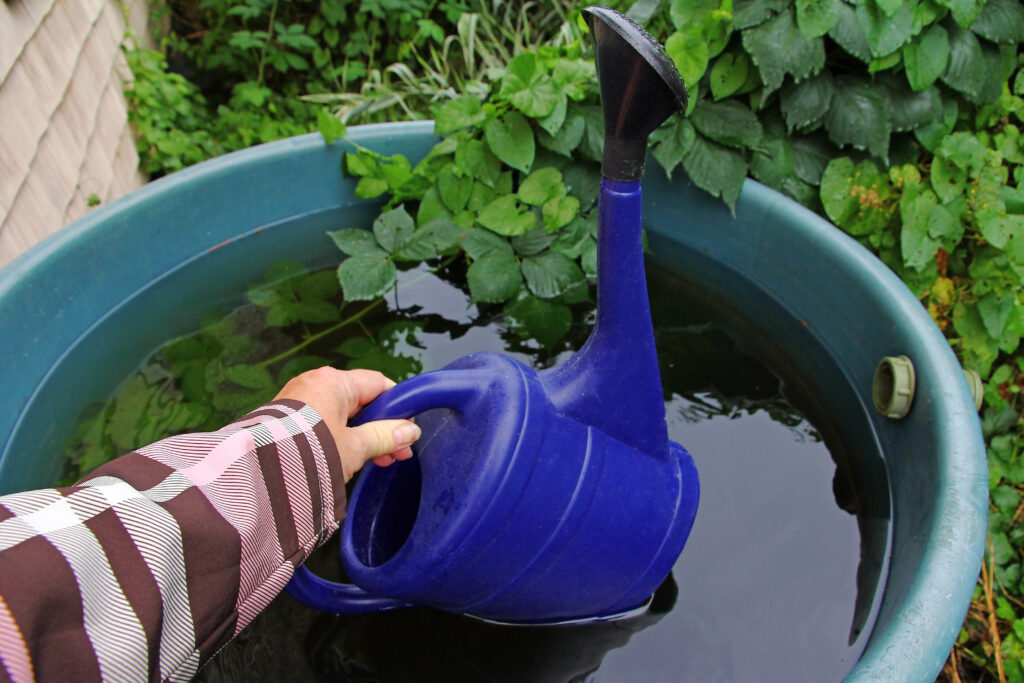 Eine Gießkanne wird in einem Regenwassertank aufgefüllt