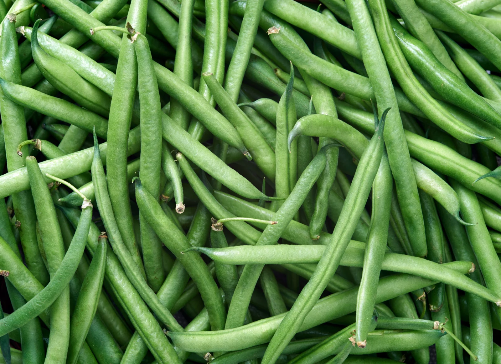 Green beans background