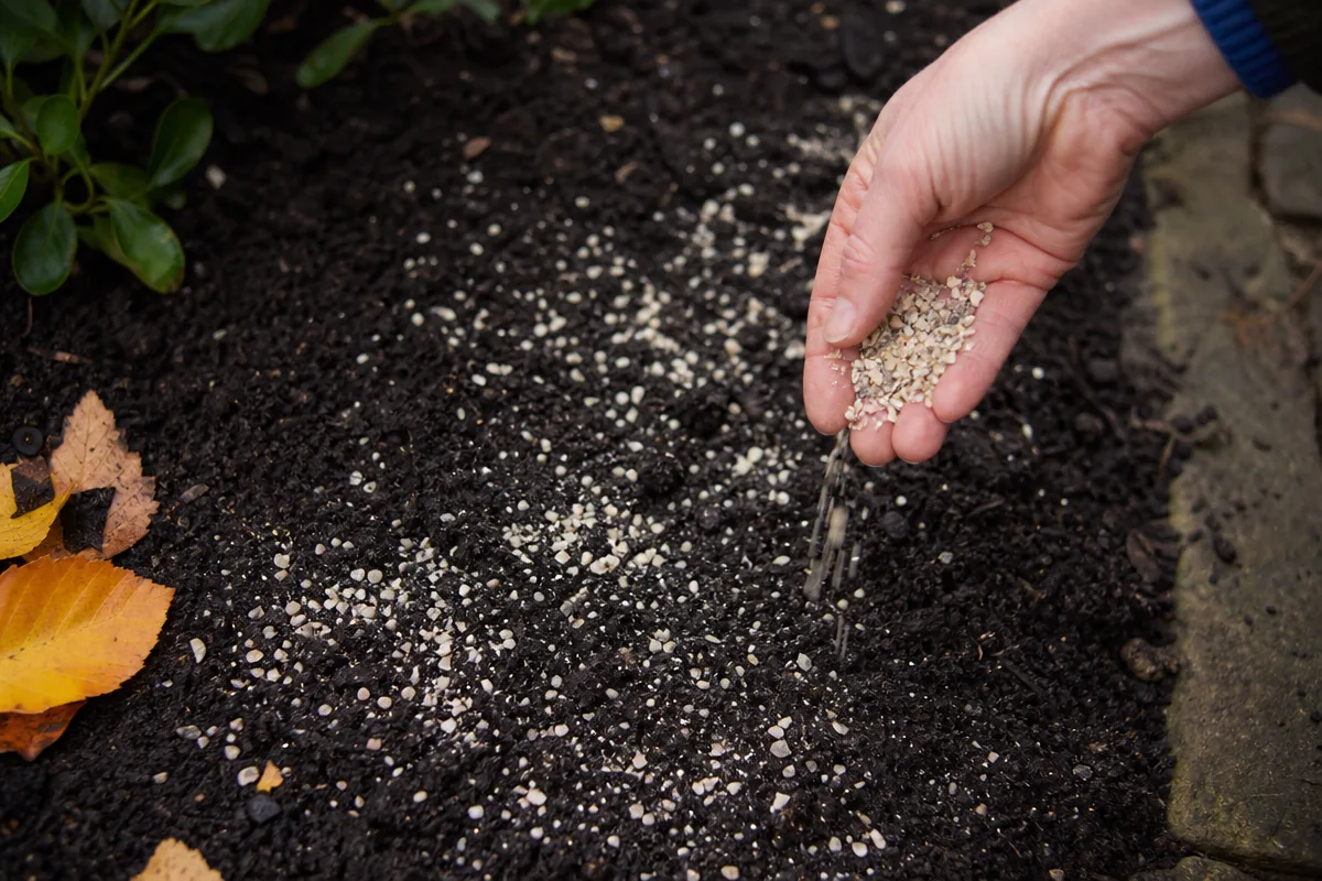 Hornspäne werden von Hand über dunkle Herbsterde gestreut