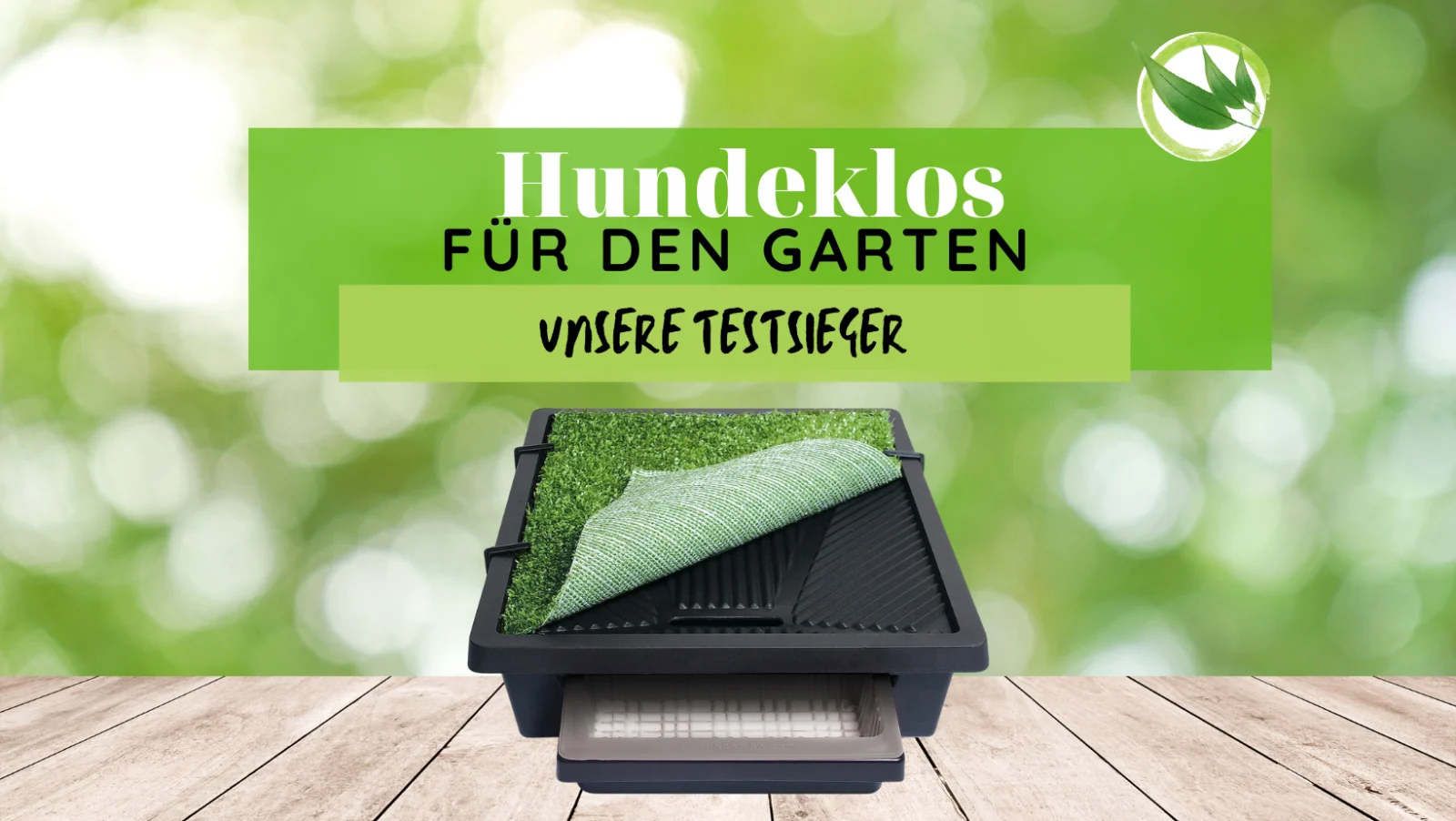 Hundeklos für den Garten: Unsere Testsieger für 2026