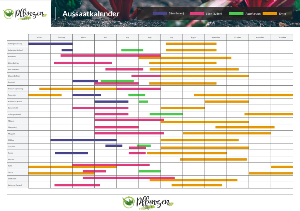 Aussaatkalender für Pflanzenmonate Januar bis Dezember.
