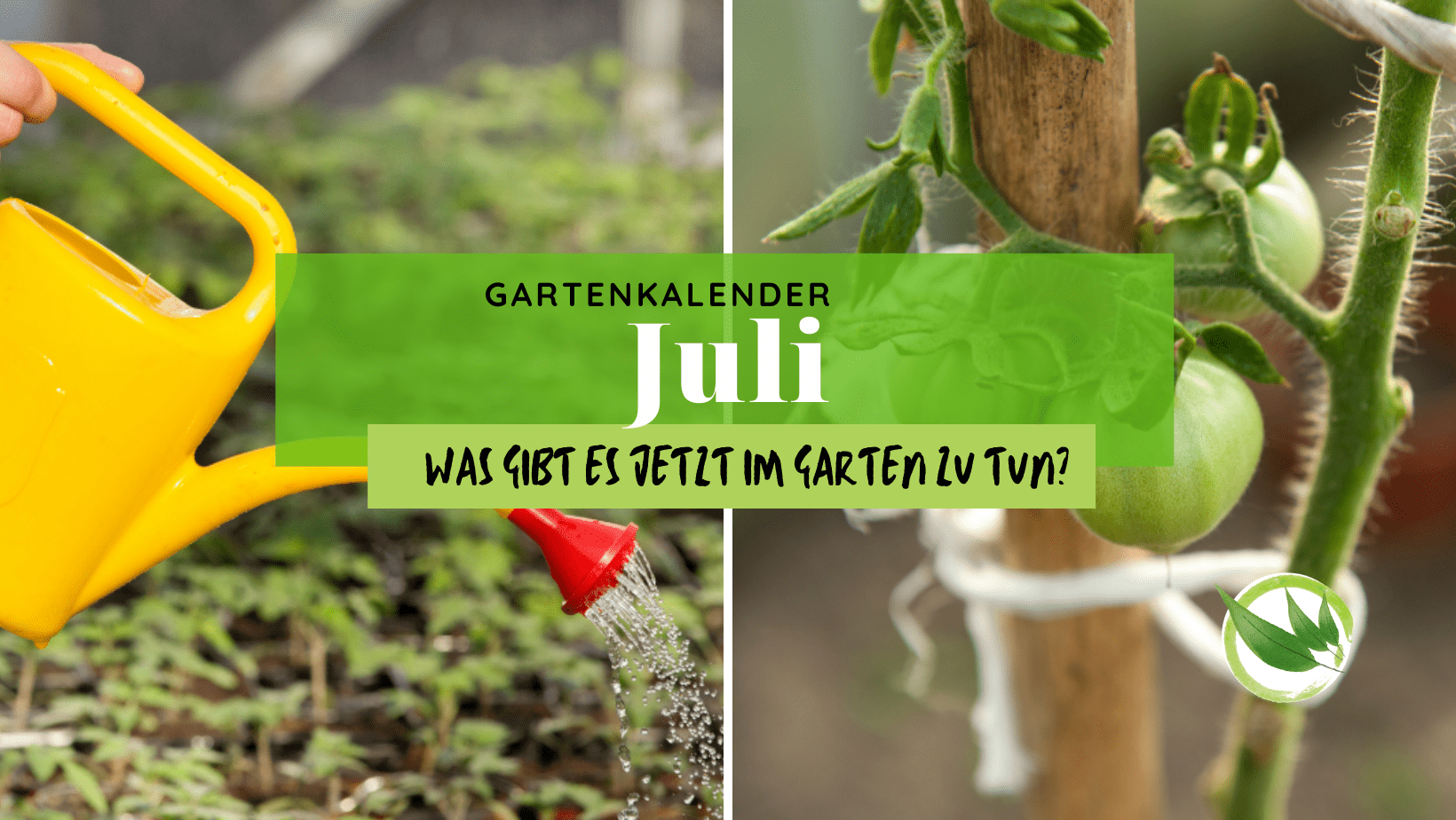 Gartenkalender Juli – was gibt es jetzt im Garten zu tun?