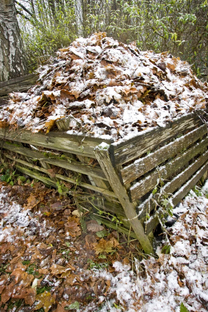 Komposthaufen mit Laub und Schnee