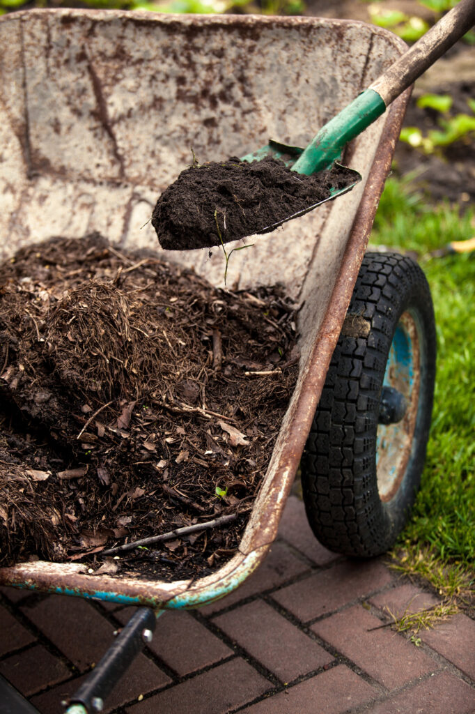 Schubkarre mit Erde und Schaufel im Garten