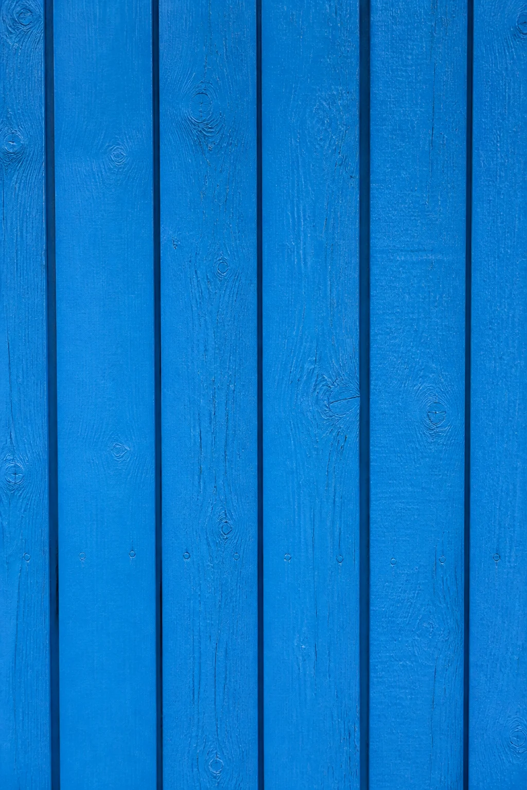 Blaue Holzlattenwand als Hingucker im Garten