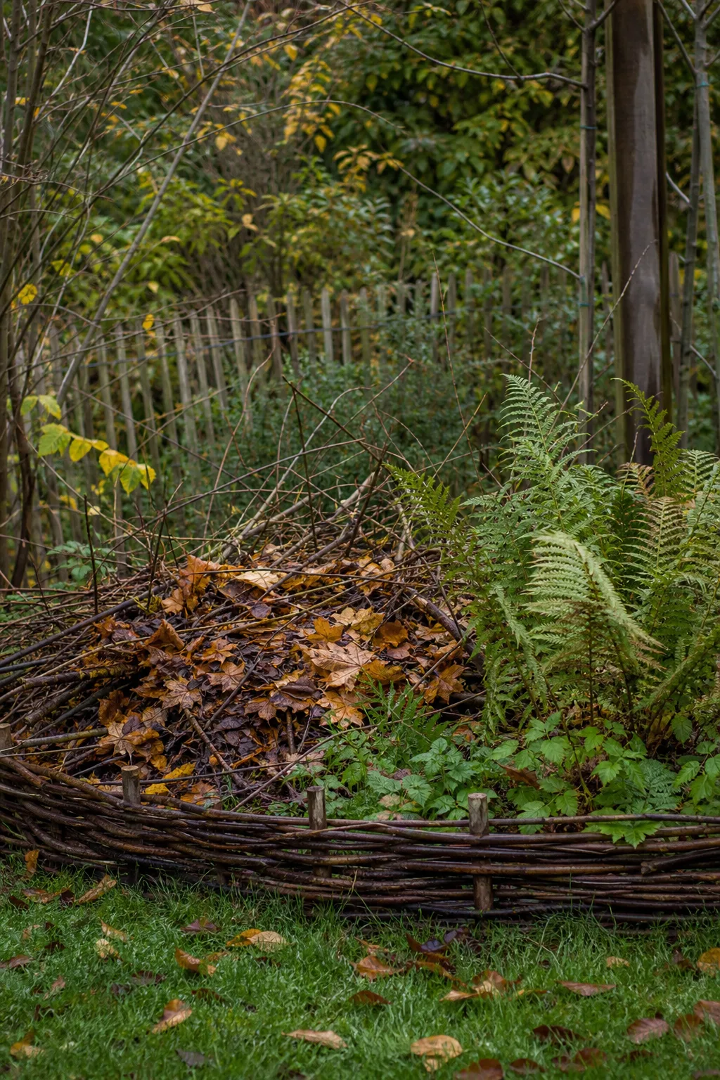 Laub- und Reisighaufen hinter einer niedrigen Weidengeflecht-Einfassung in einer Gartenecke, daneben Farne