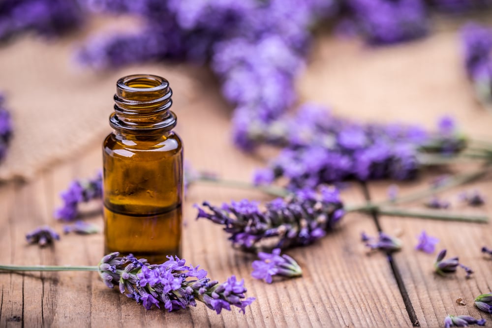 Kleine Flasche mit selbstgemachtem Lavendel-Öl und frischen Blüten