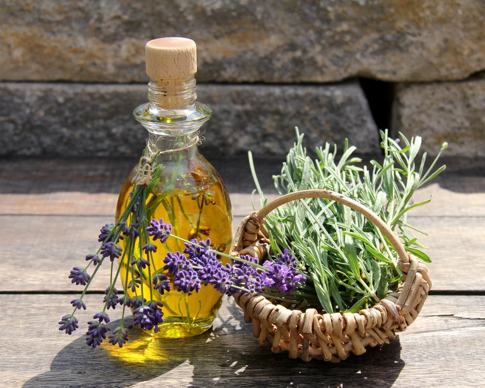 Flasche mit selbstgemachtem Lavendel-Öl