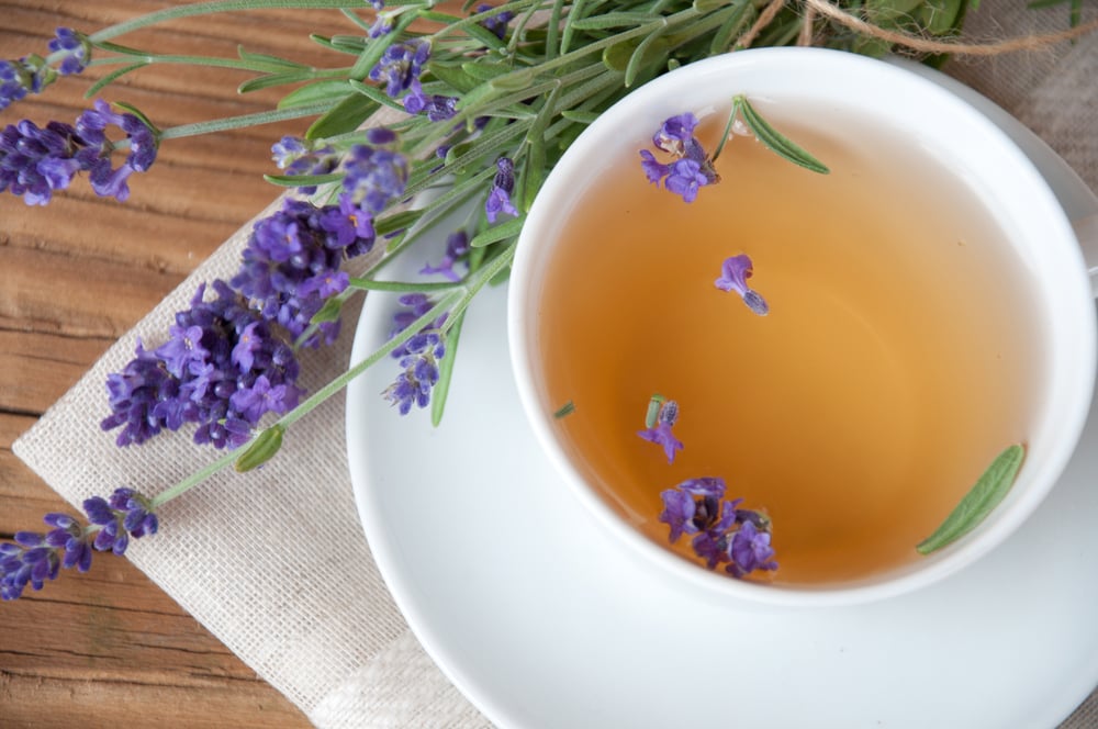 Tasse mit dampfendem Lavendel-Tee und frischen Blüten
