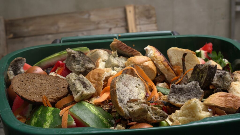 A dumpster with food leftovers. Food waste in foodservice industry. Global food crisis. High quality photo