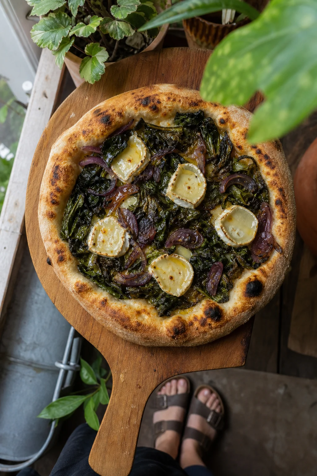 Selbstgemachte Sauerteig-Pizza vom Holzbrett, belegt mit Löwenzahnblättern, geschmolzenem Ziegenkäse, karamellisierten roten Zwiebeln und einem Honig-Spritzer.