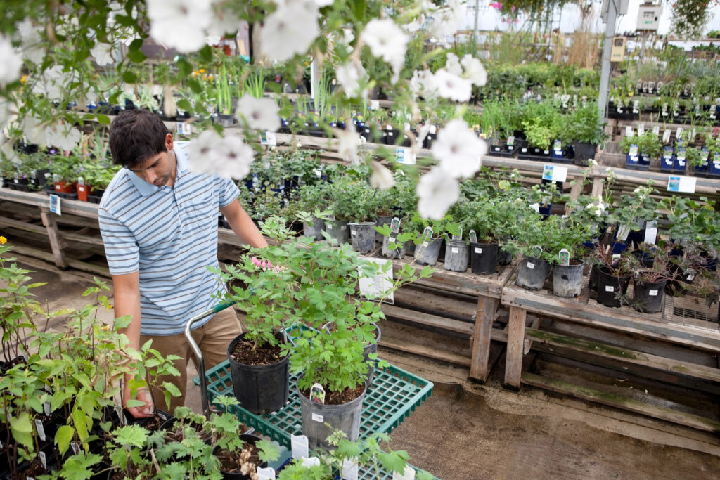 Man Shopping for Plants in Garden Center