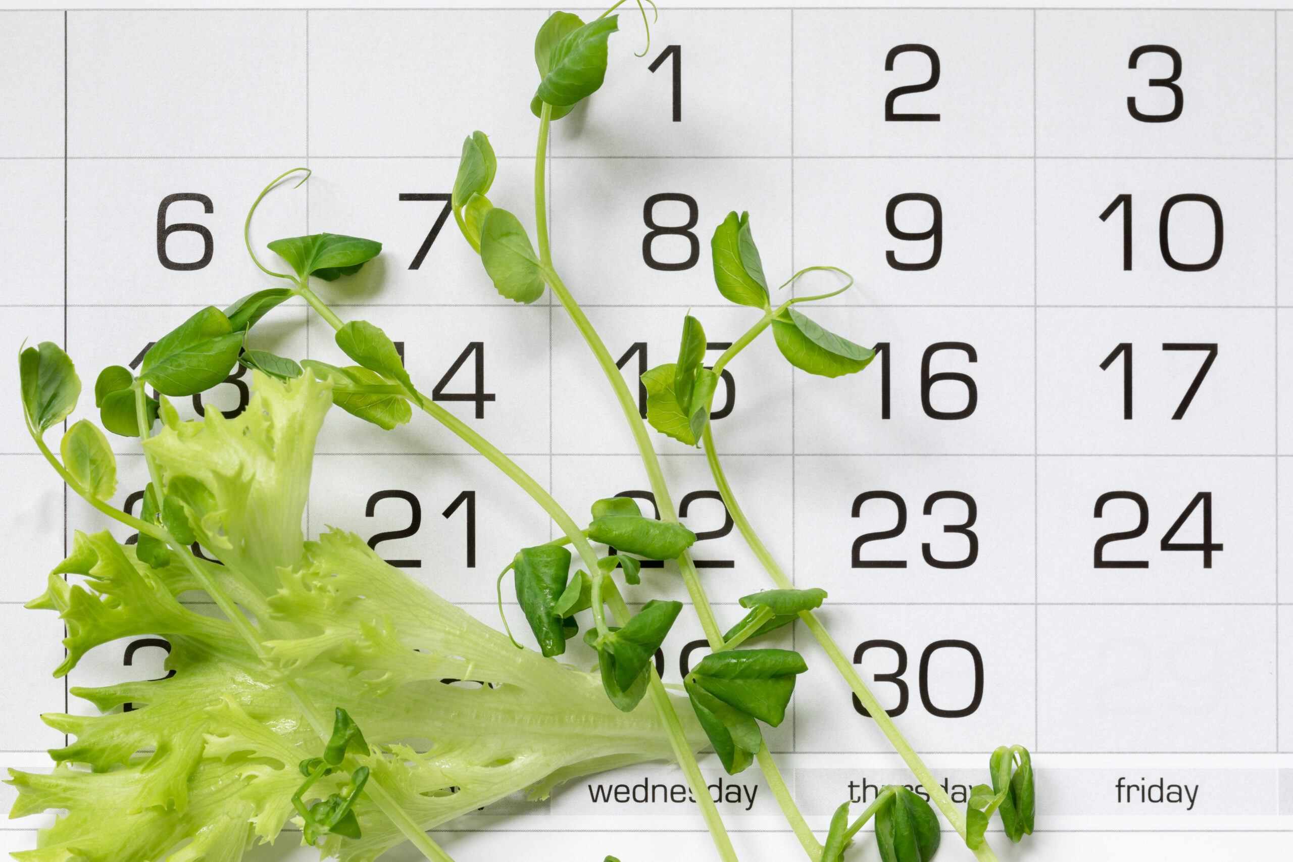 Kalender für den Garten