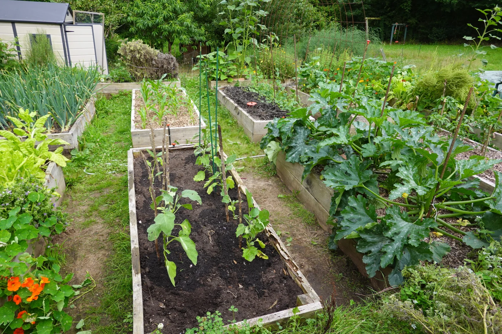 Gemüsegarten mit Hochbeeten