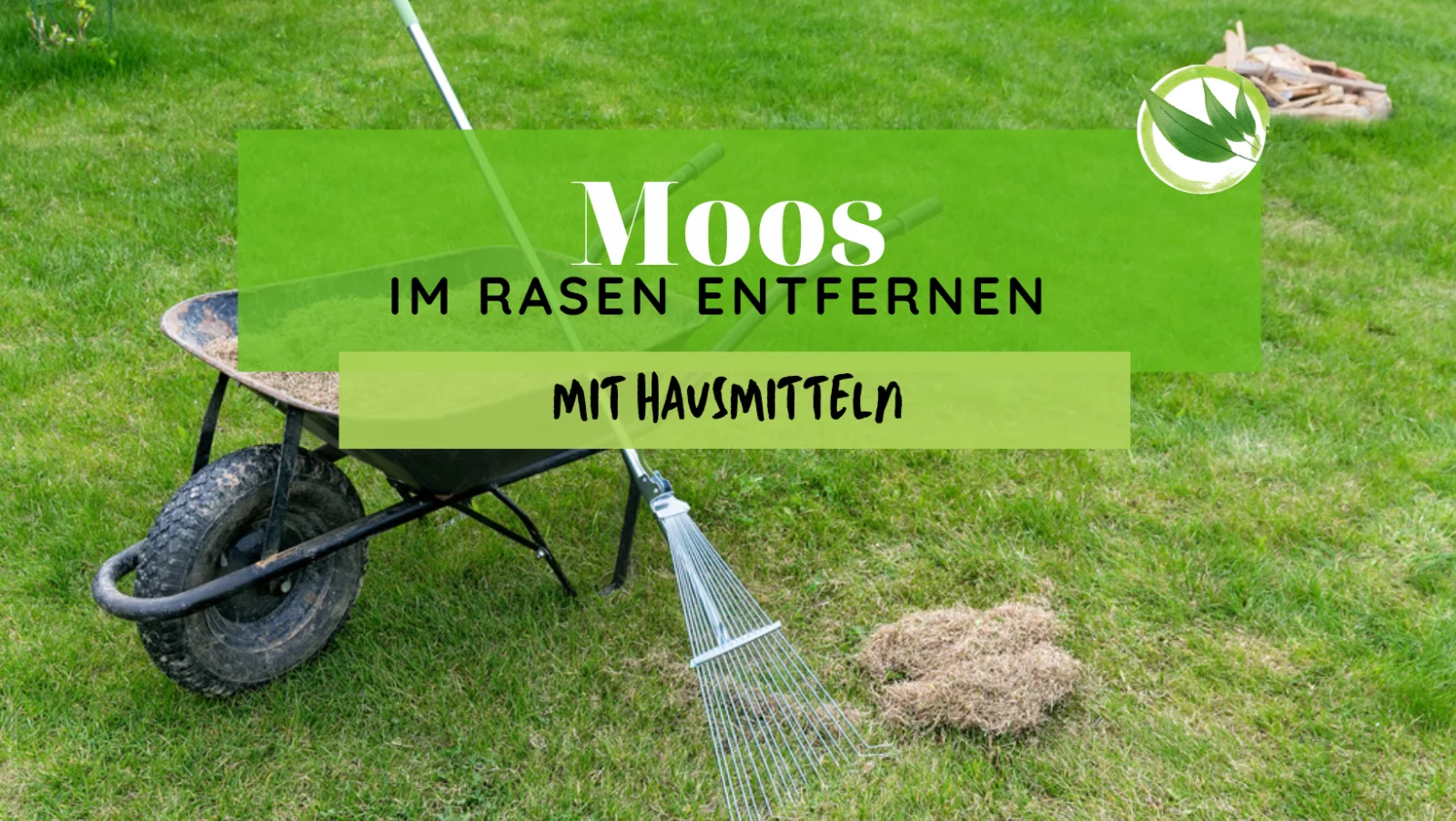 Moos im Rasen entfernen mit Hausmitteln
