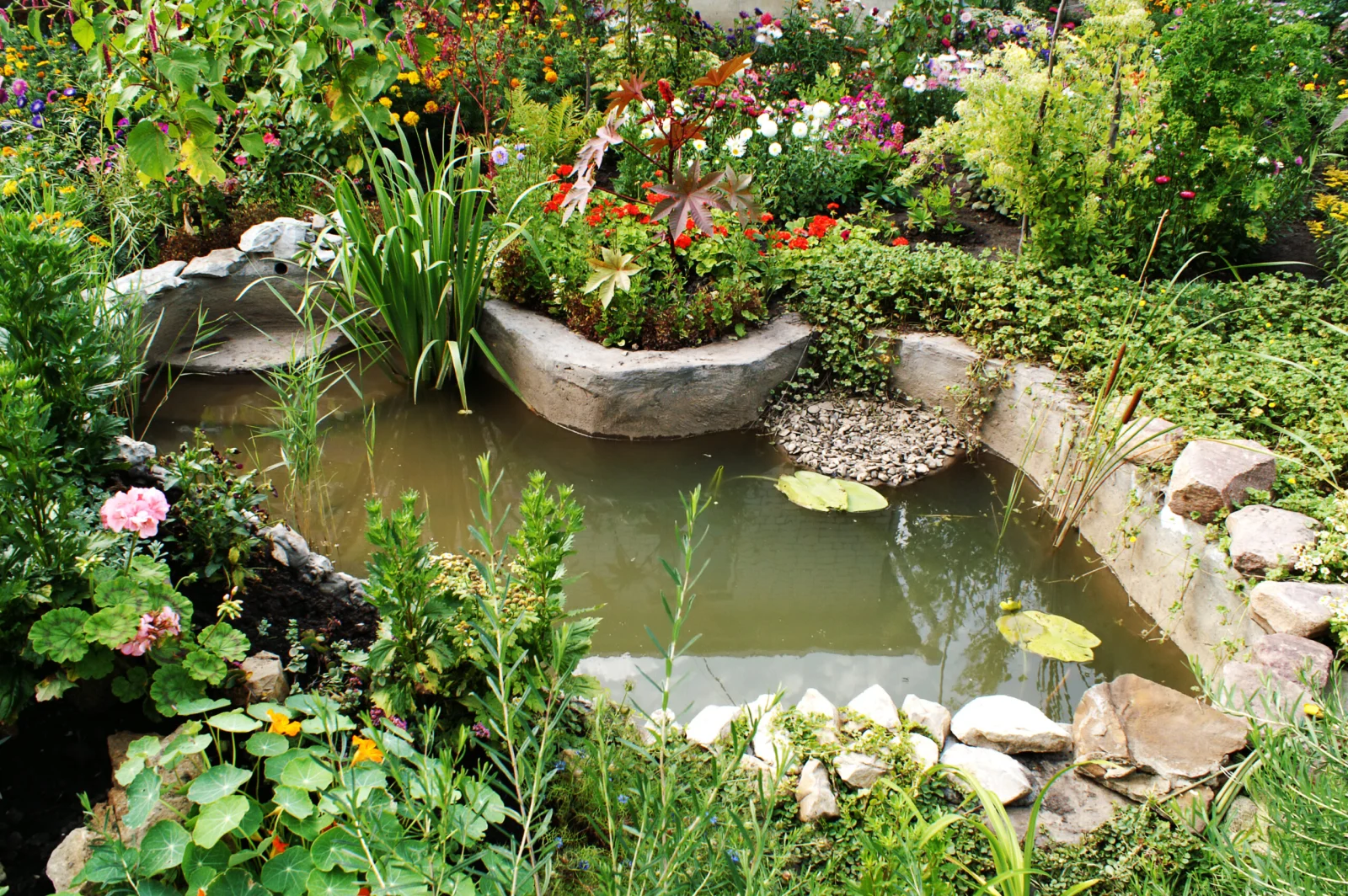 Schöner Teich in einem Garten