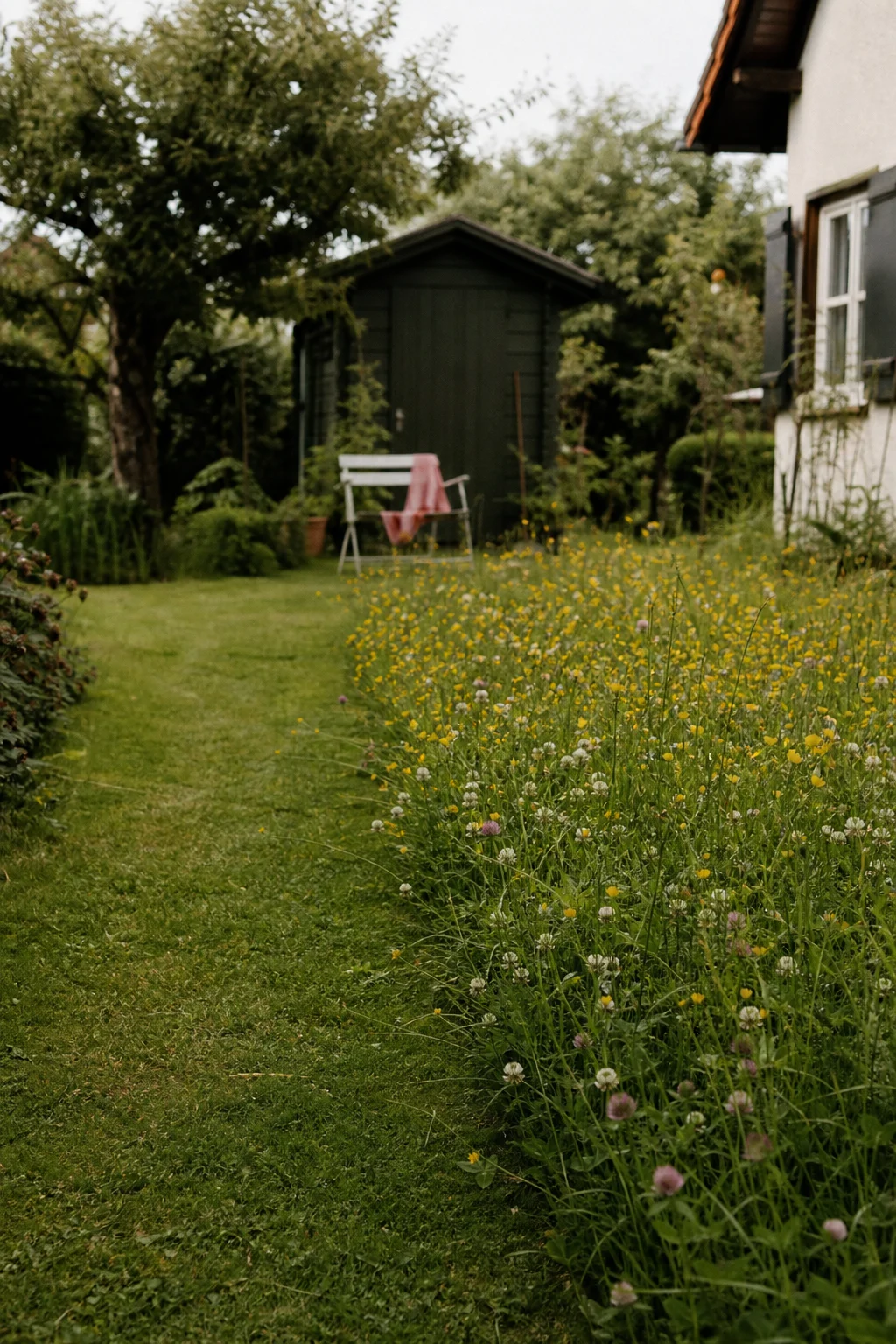 Garten mit definierter ungemähter Wiesenfläche neben einem schmalen, frisch gemähten Pfad zum Gartenhäuschen.