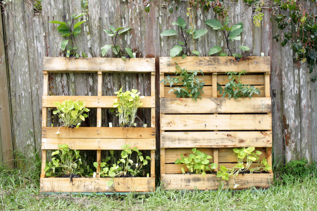 Pallet Vegetable Garden (1)
