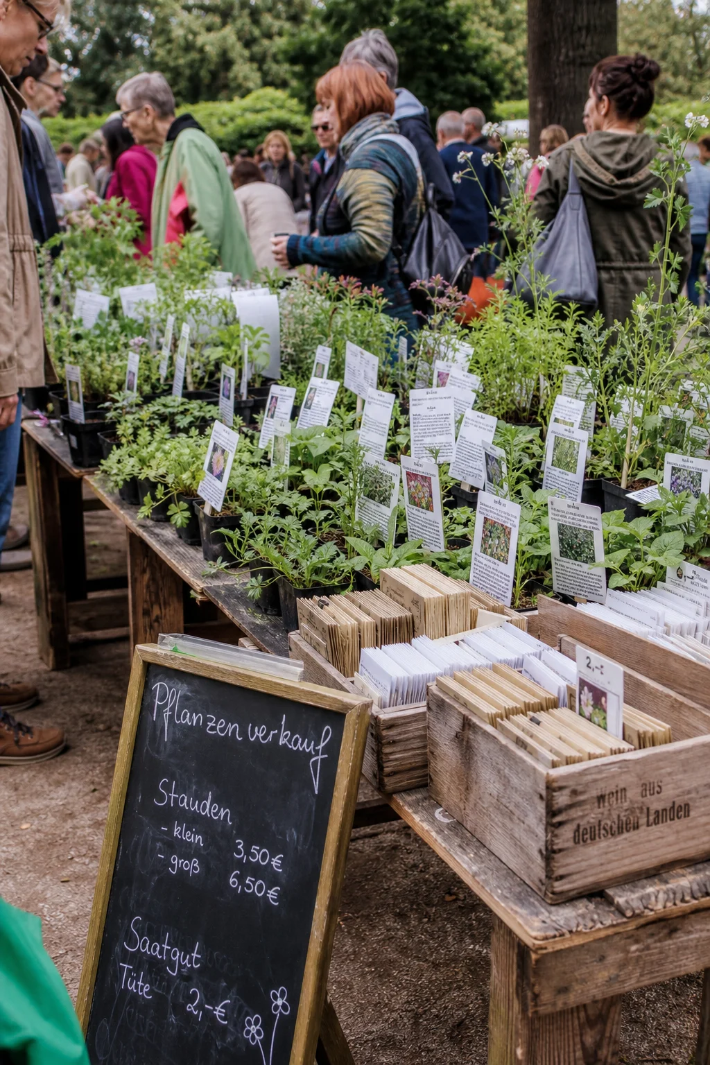 Pflanzenmarkt im botanischen Garten mit langen Holztischen voller beschrifteter Staudentöpfe und Saatguttüten, eine Kreidetafel zeigt Preise.