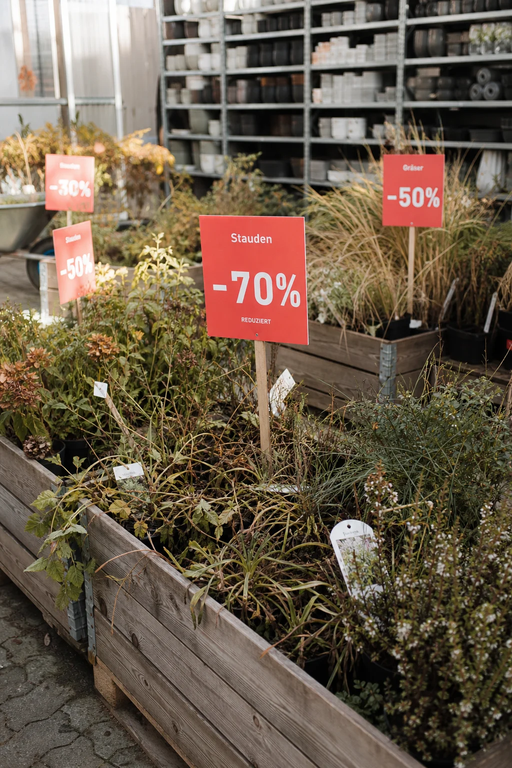 Restposten-Ecke in einem Gartencenter am Saisonende mit Kisten welker Stauden und Sträucher, rote Rabattschilder im Hintergrund.
